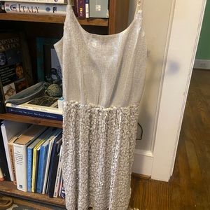 Express Silver Sequin Dress
